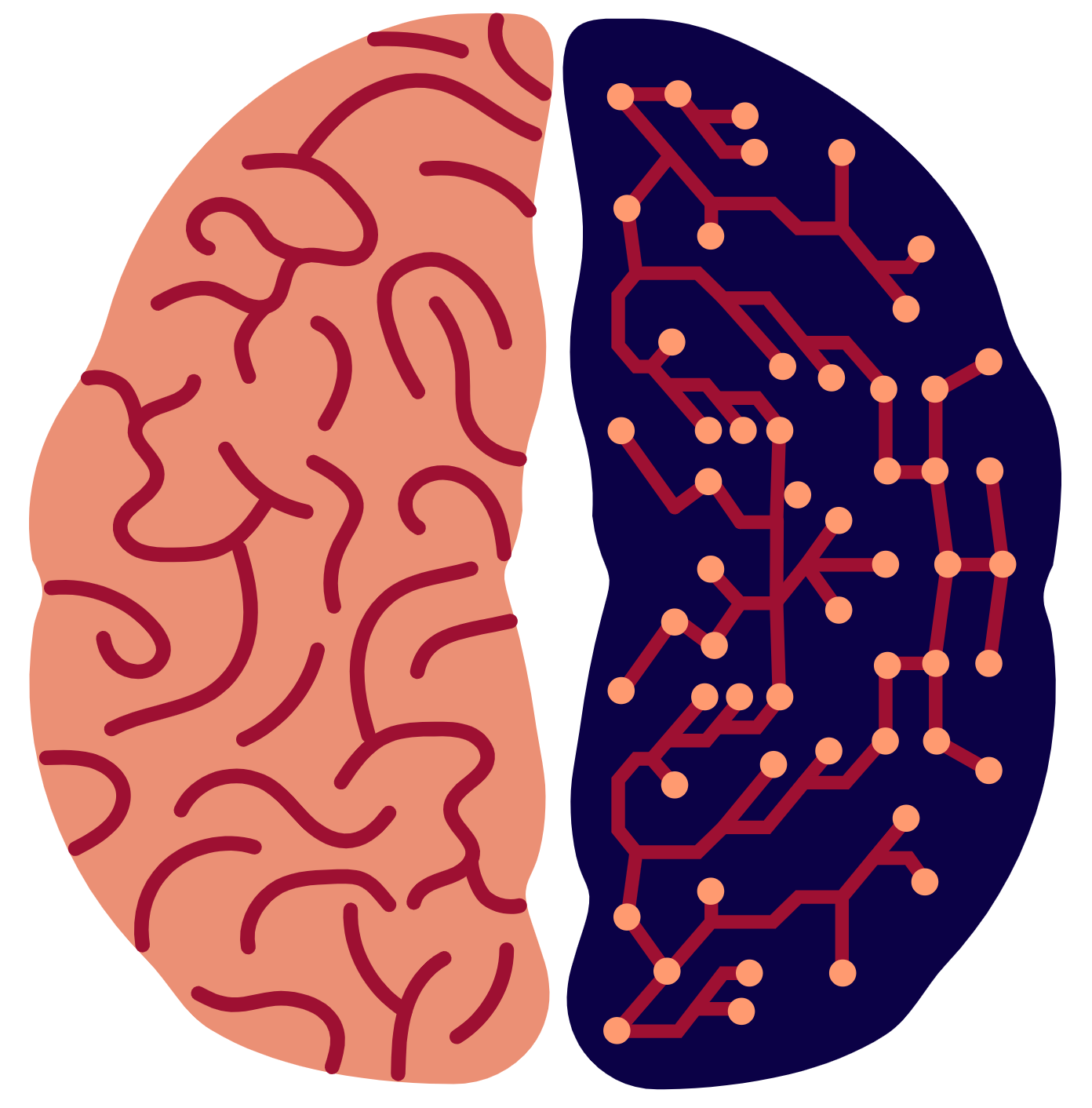 Brain vs AI